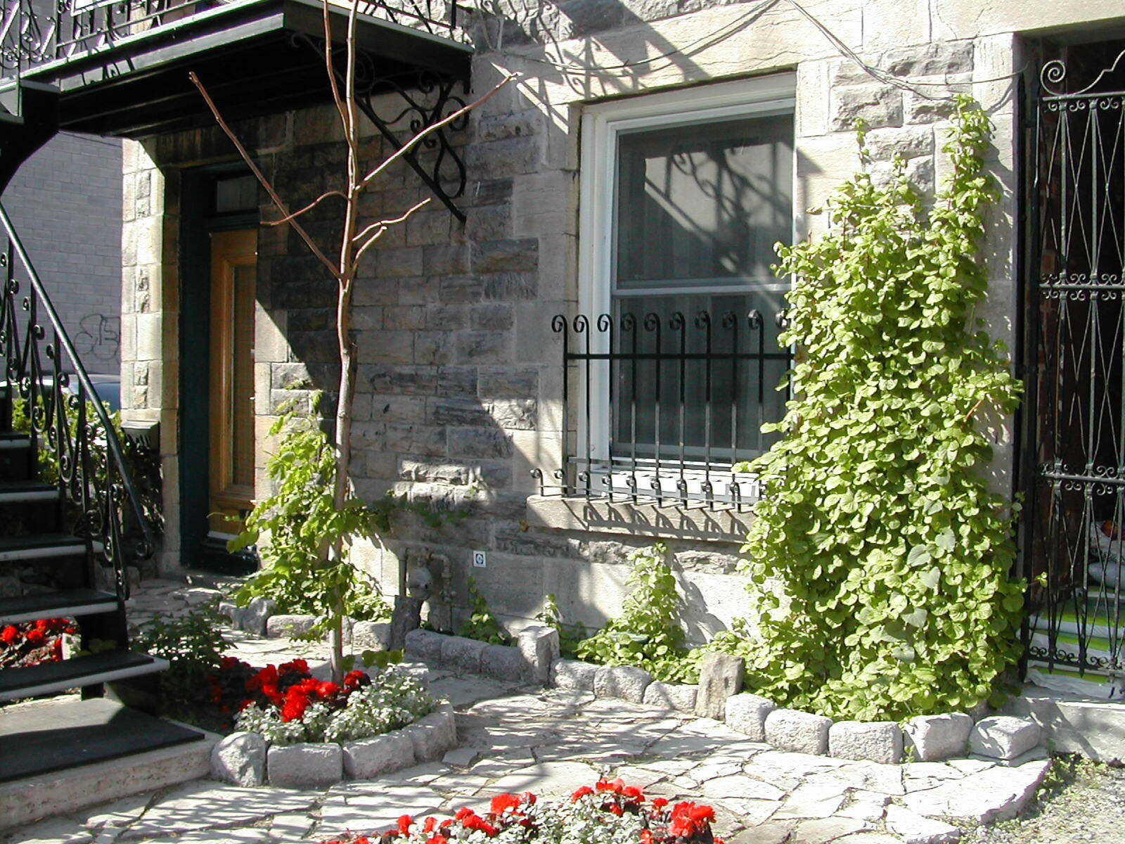 Colocation Montréal 119188