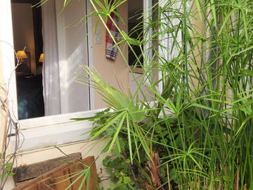 Homestay for rent in Sète - photo 9-9