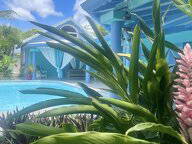 Chambre D'hôte Le Gosier 210479-17