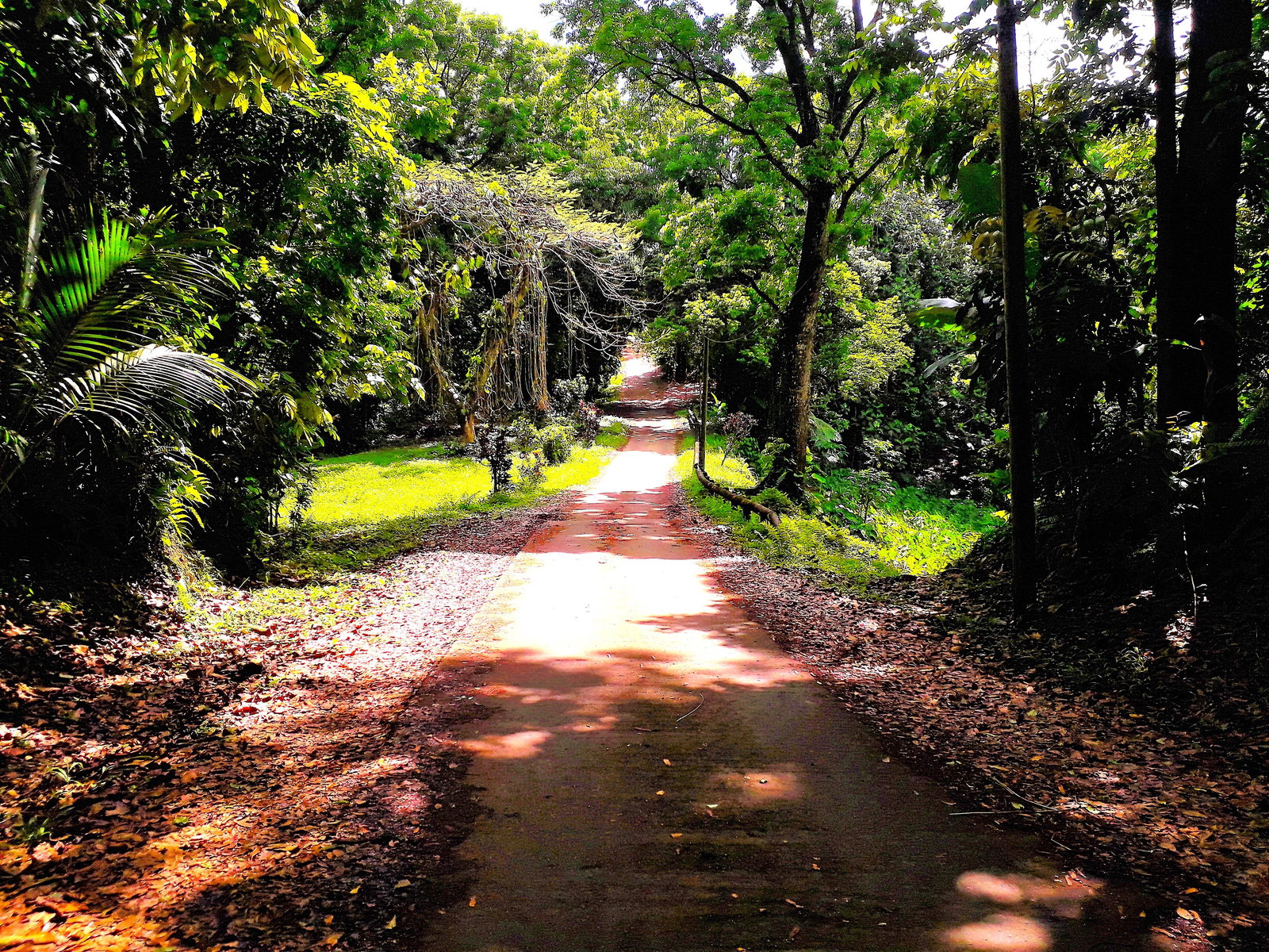 Hospedagem Em Casa De Família Sainte-Marie 473317