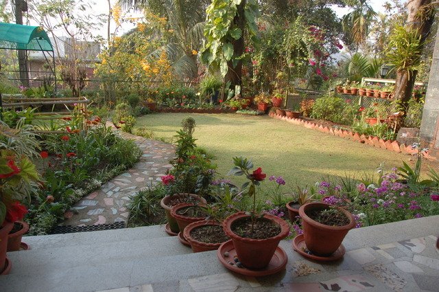 Bed And Breakfast Guwahati 11059