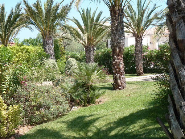 Onafhankelijke Studio Antibes 62784