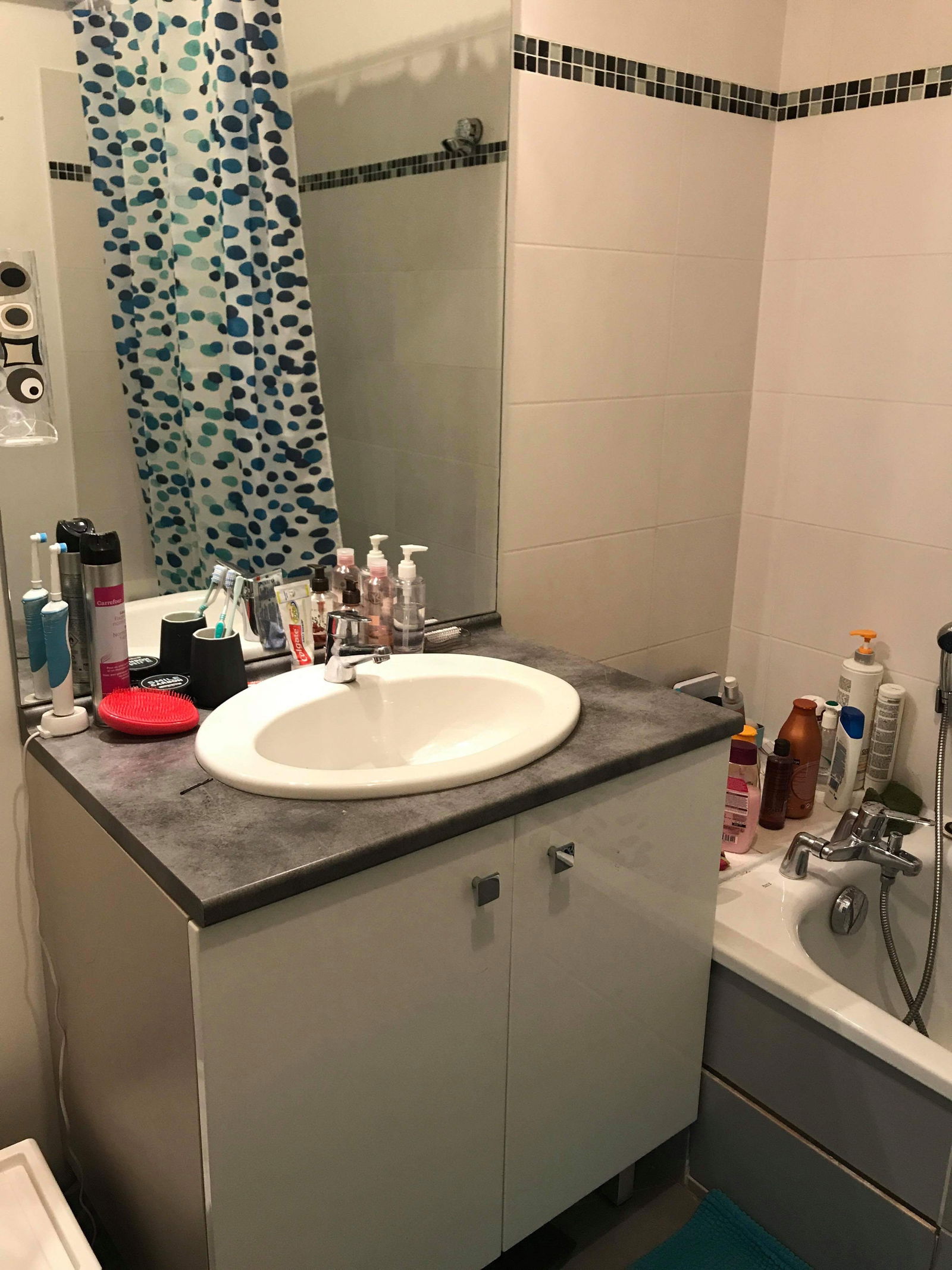 Colocatie Toulouse 190801