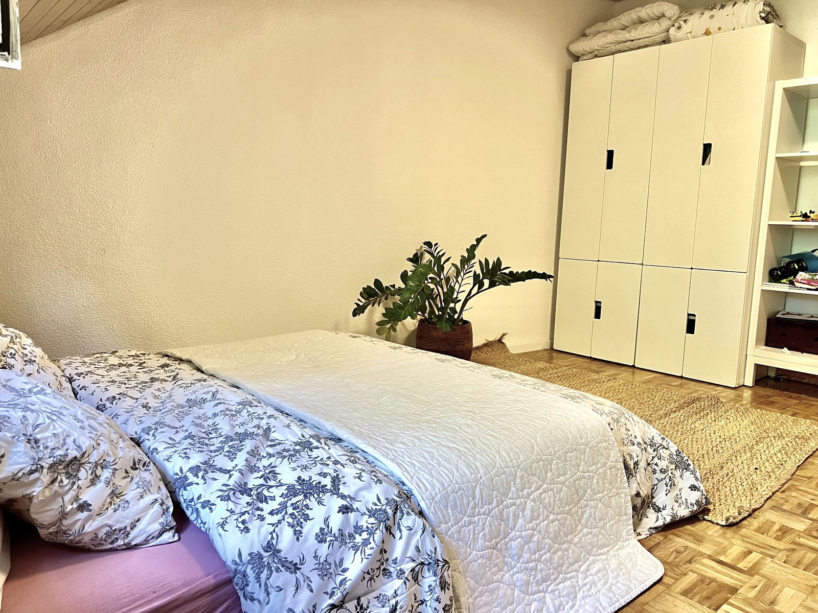 Colocatie Rolle 488149