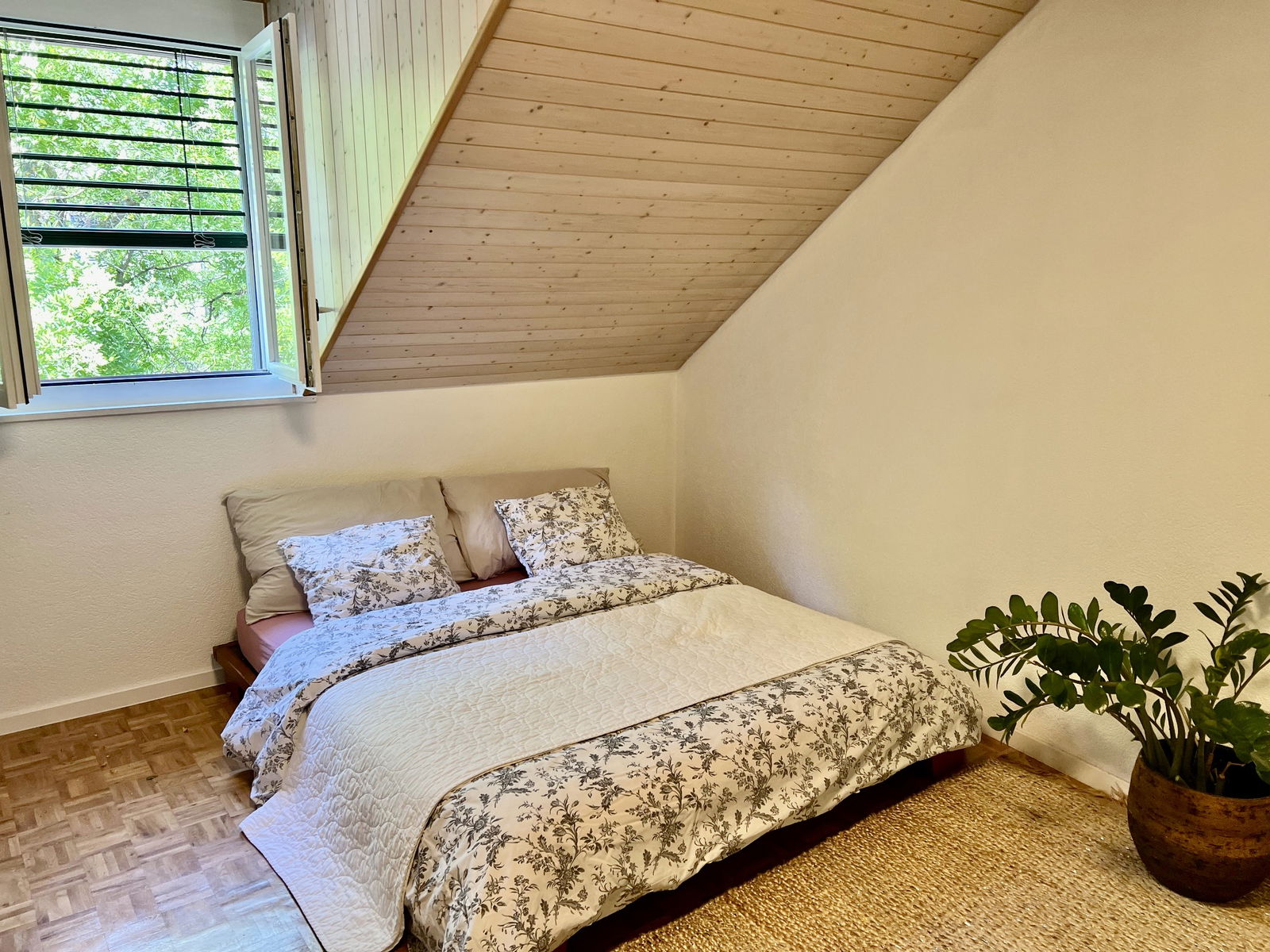 Colocatie Rolle 488149