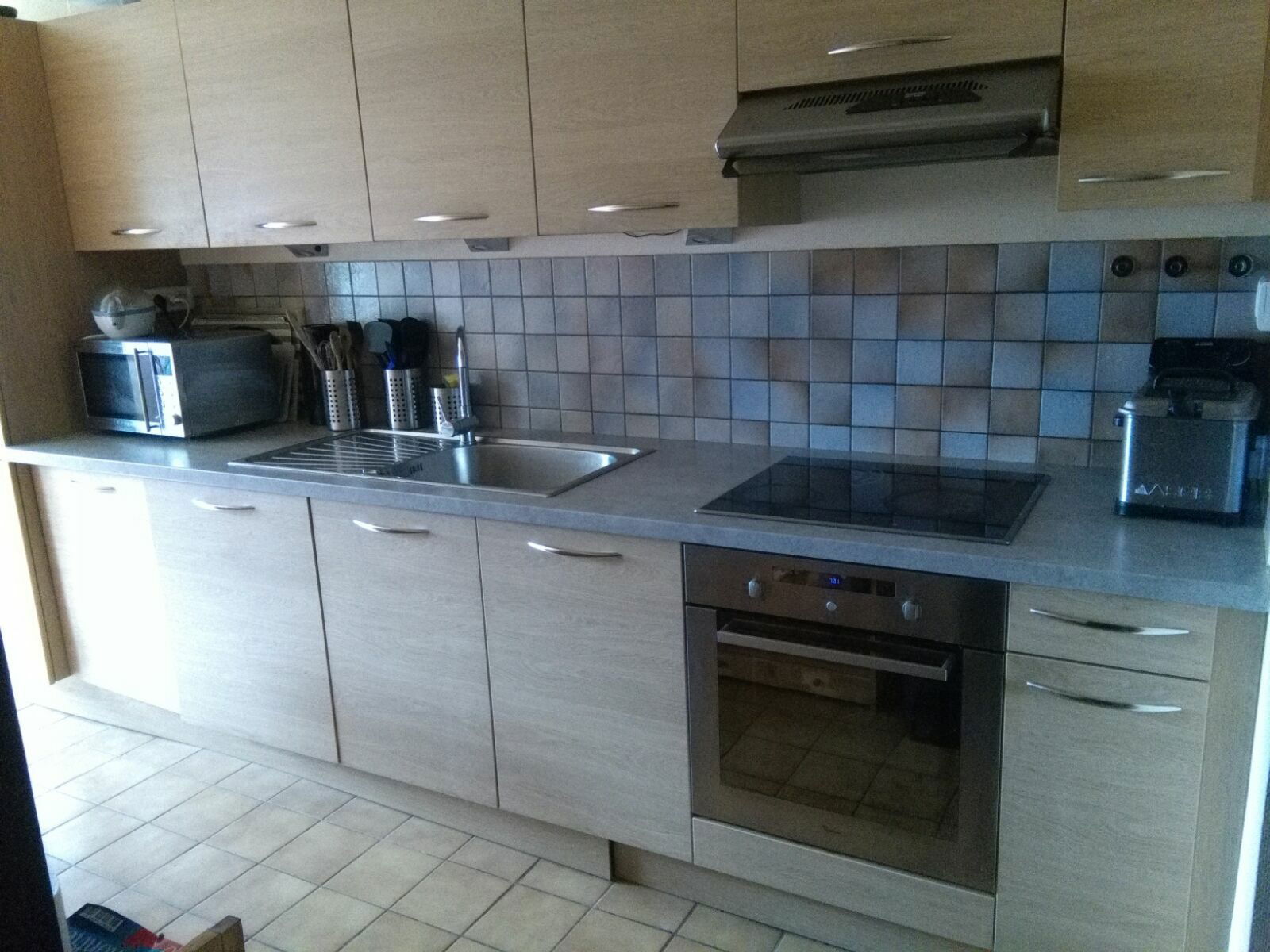 Gastfamilie Ferney-Voltaire 165432