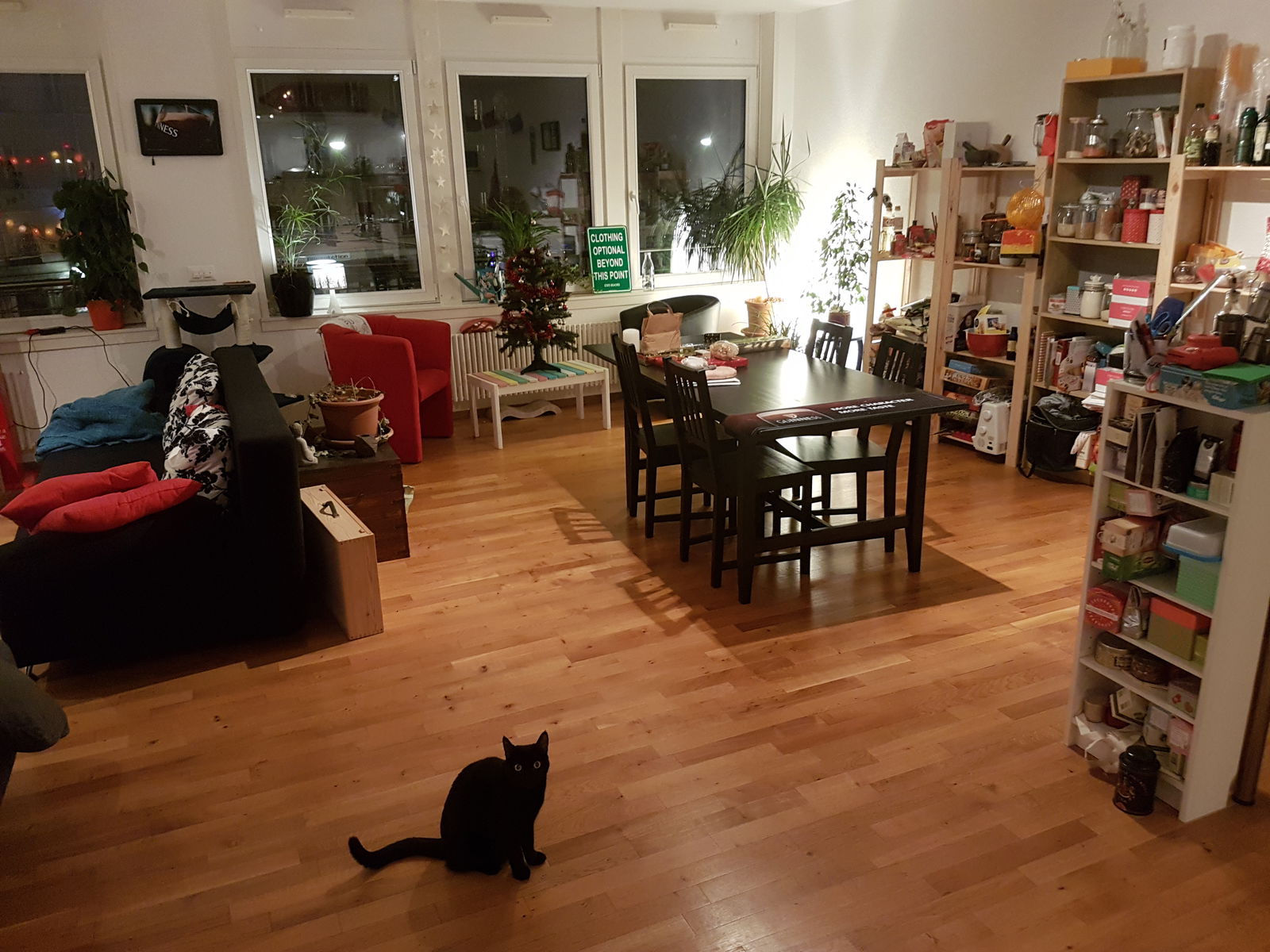 Colocation Lausanne 184505