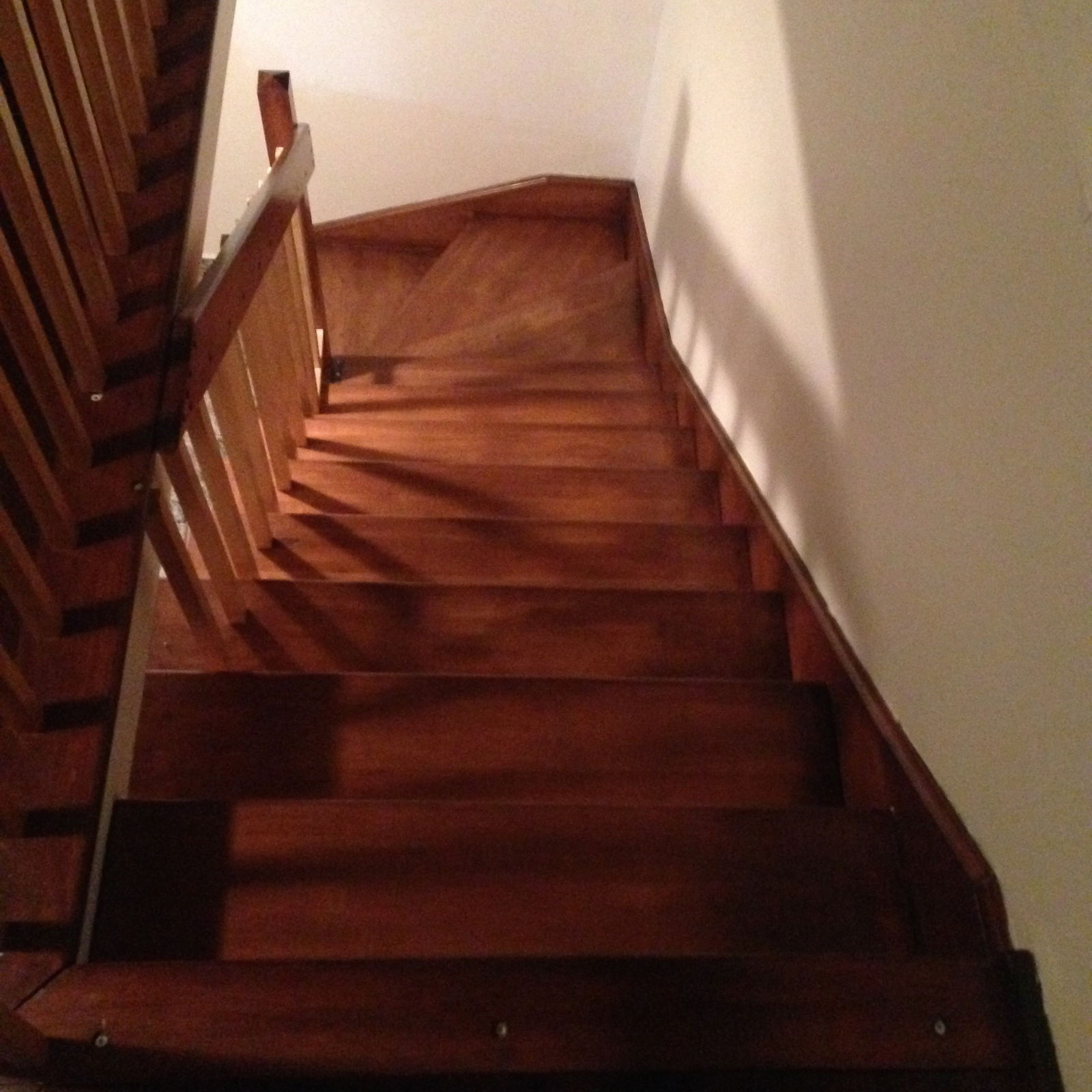 Kolokasie Laval 104517