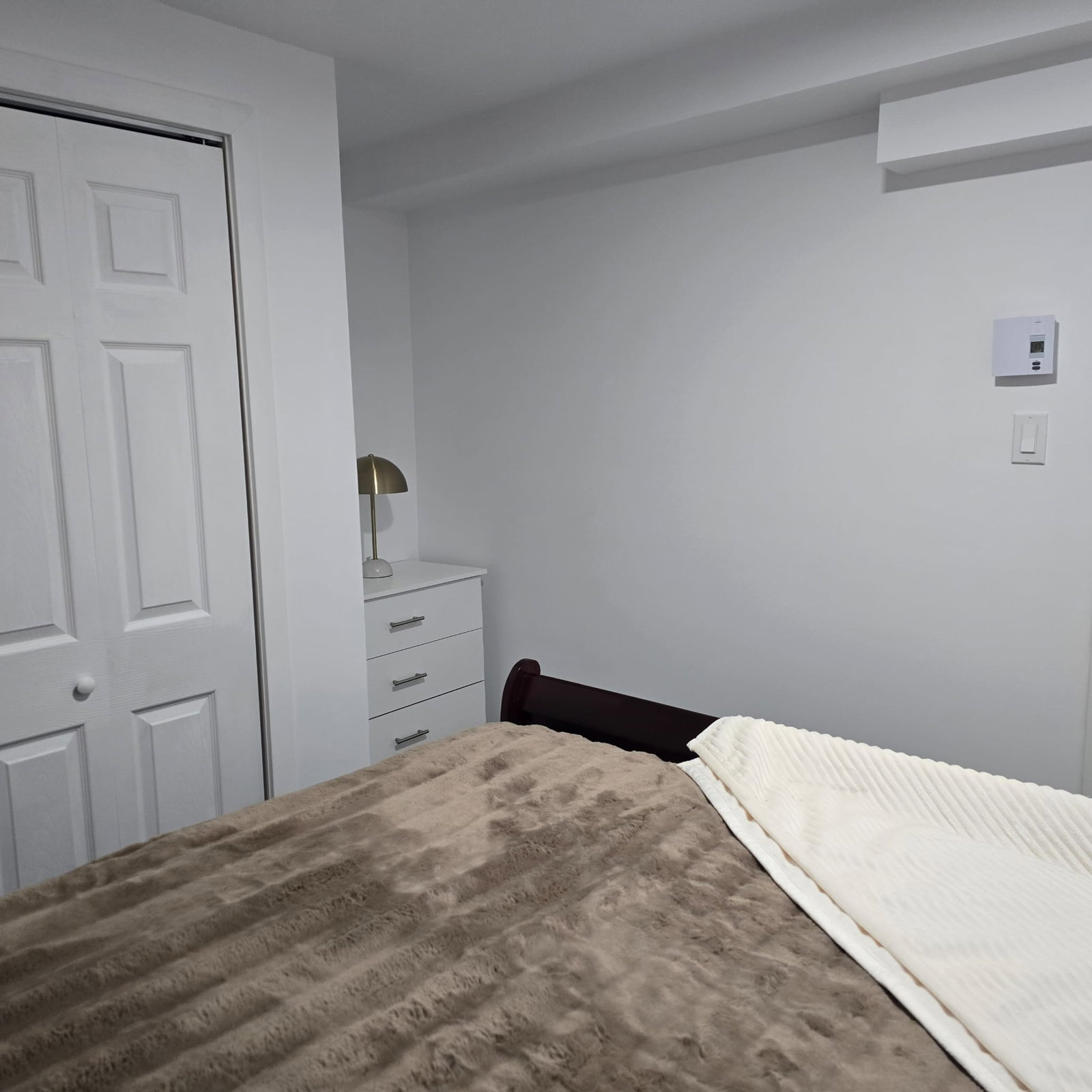 Kolokasie Trois-Rivières 473719