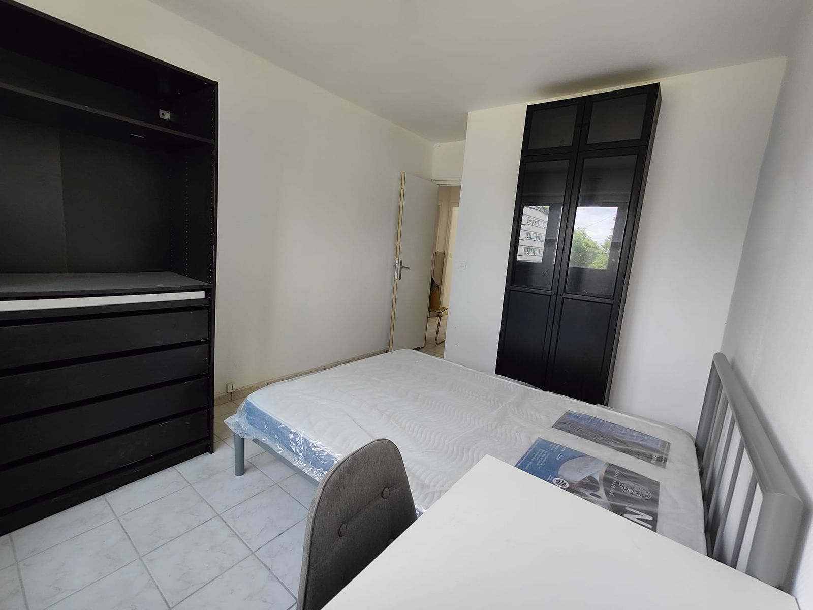 Kolokasie Pontoise 547825