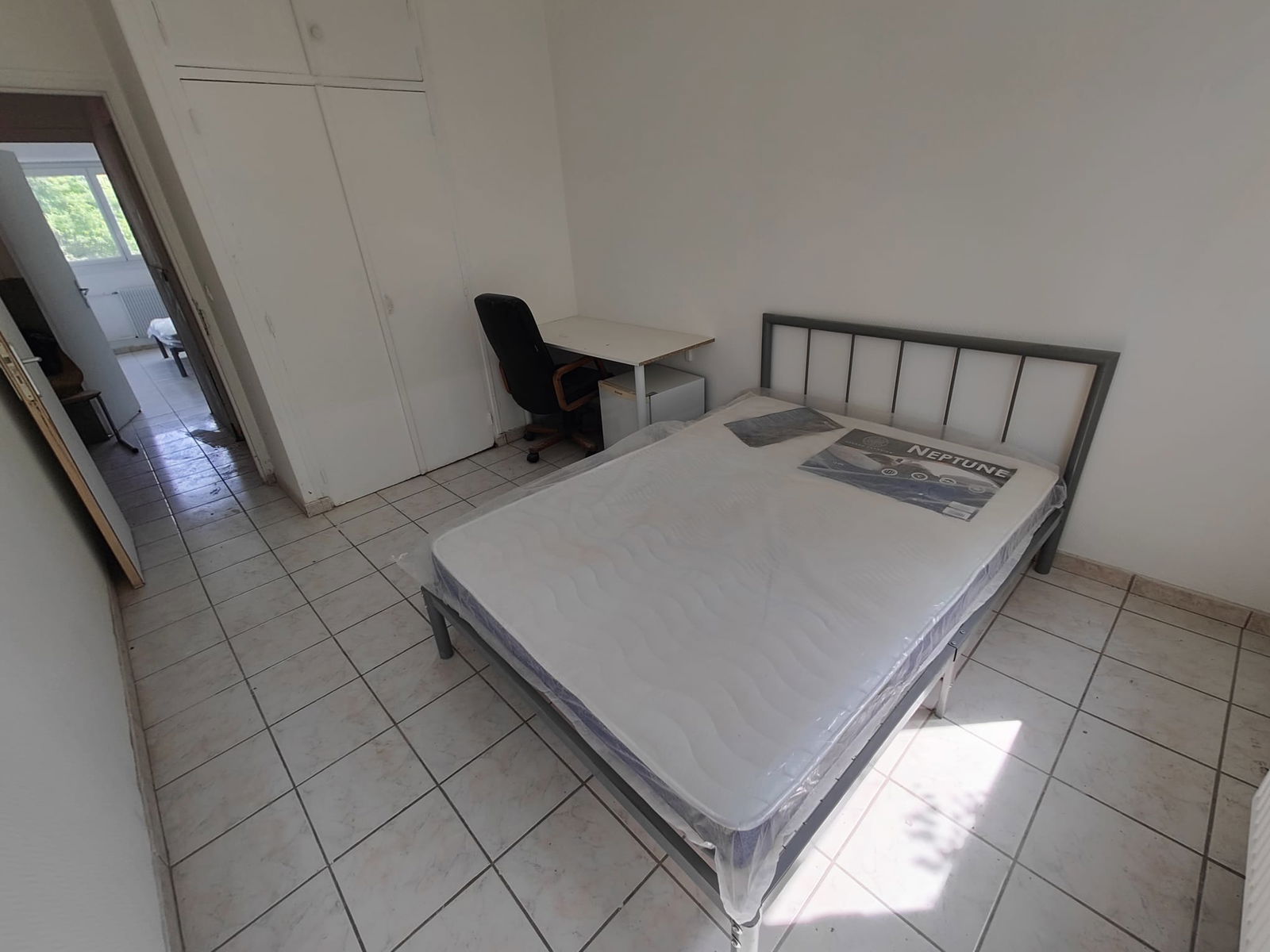 Kolokasie Pontoise 547825