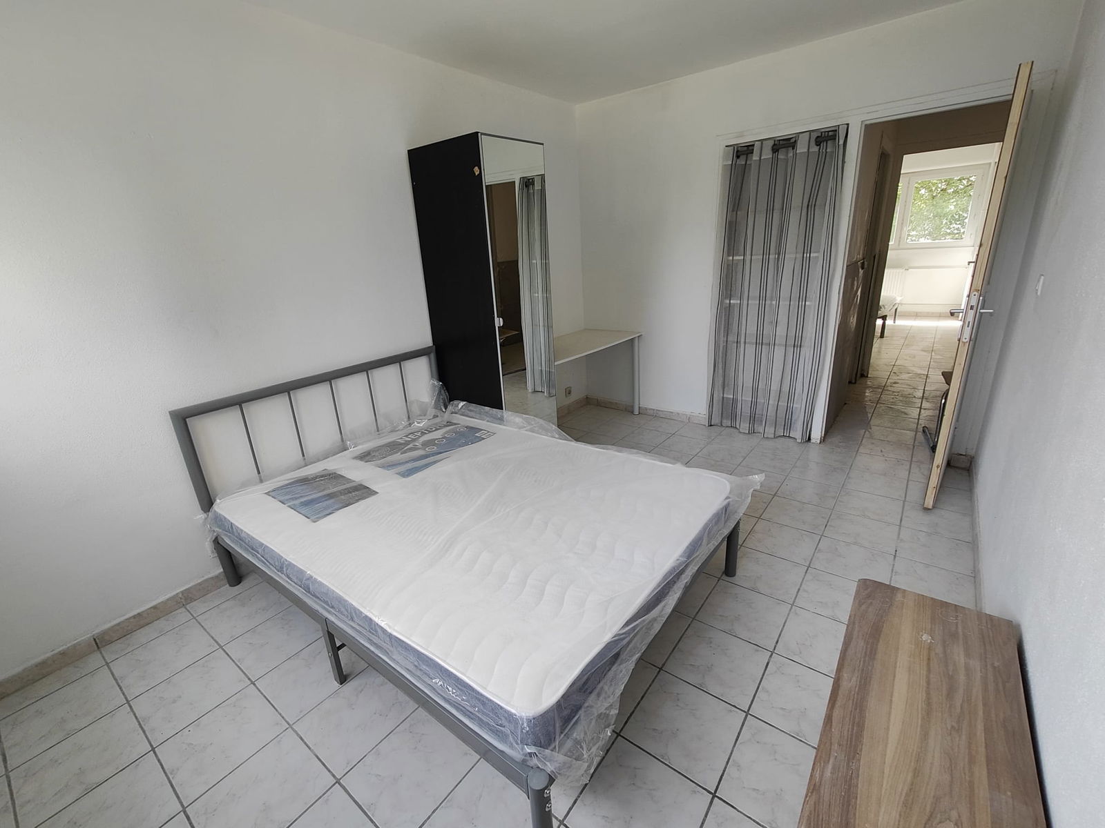 Kolokasie Pontoise 547825