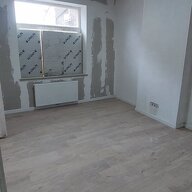 Kolokasie Charleroi 412841