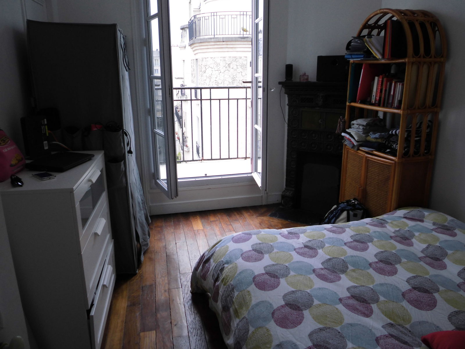 Kolokasie Paris 158791