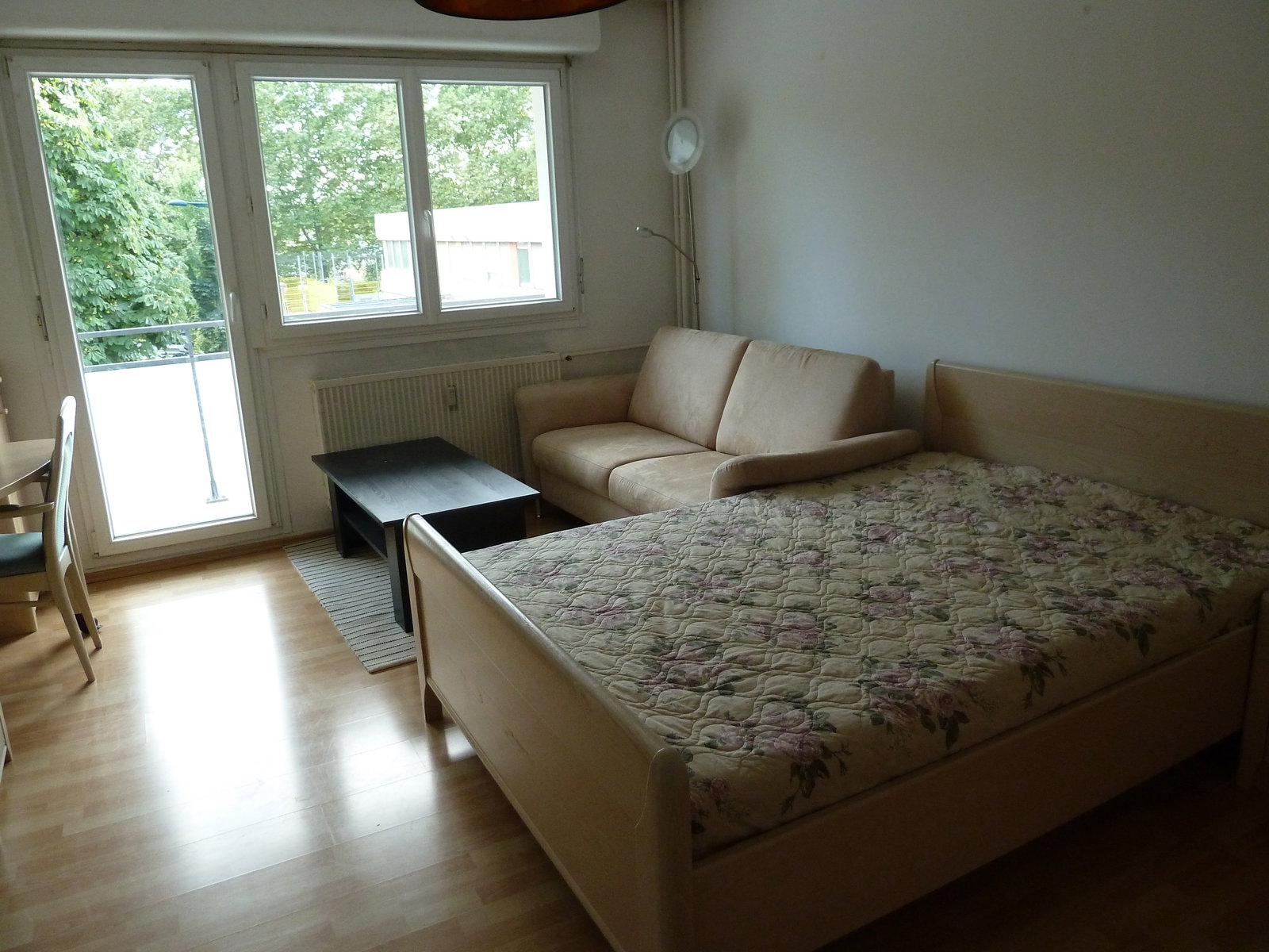 Kolokasie Saint-Louis 647346