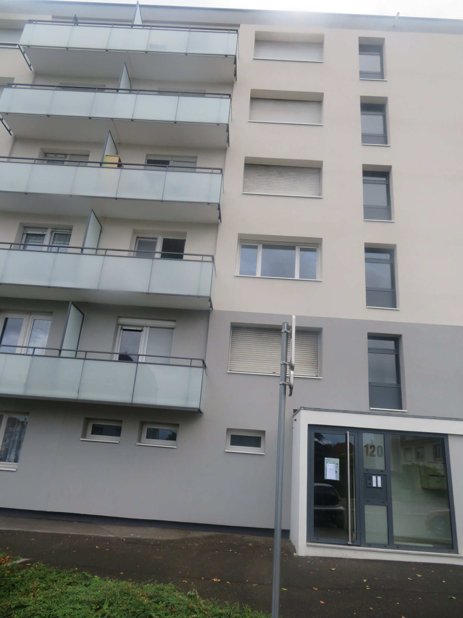 Kolokasie Saint-Louis 647346