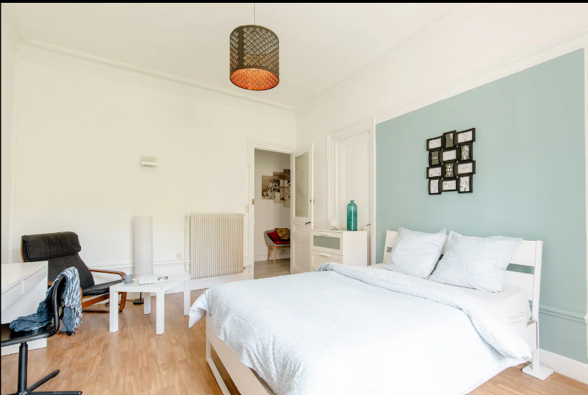 Kolokasie Saint-Étienne 236405