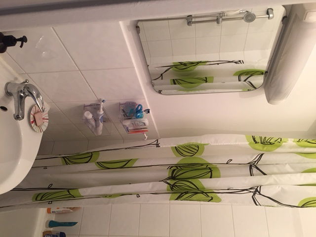 Kolokasie Paris 133662