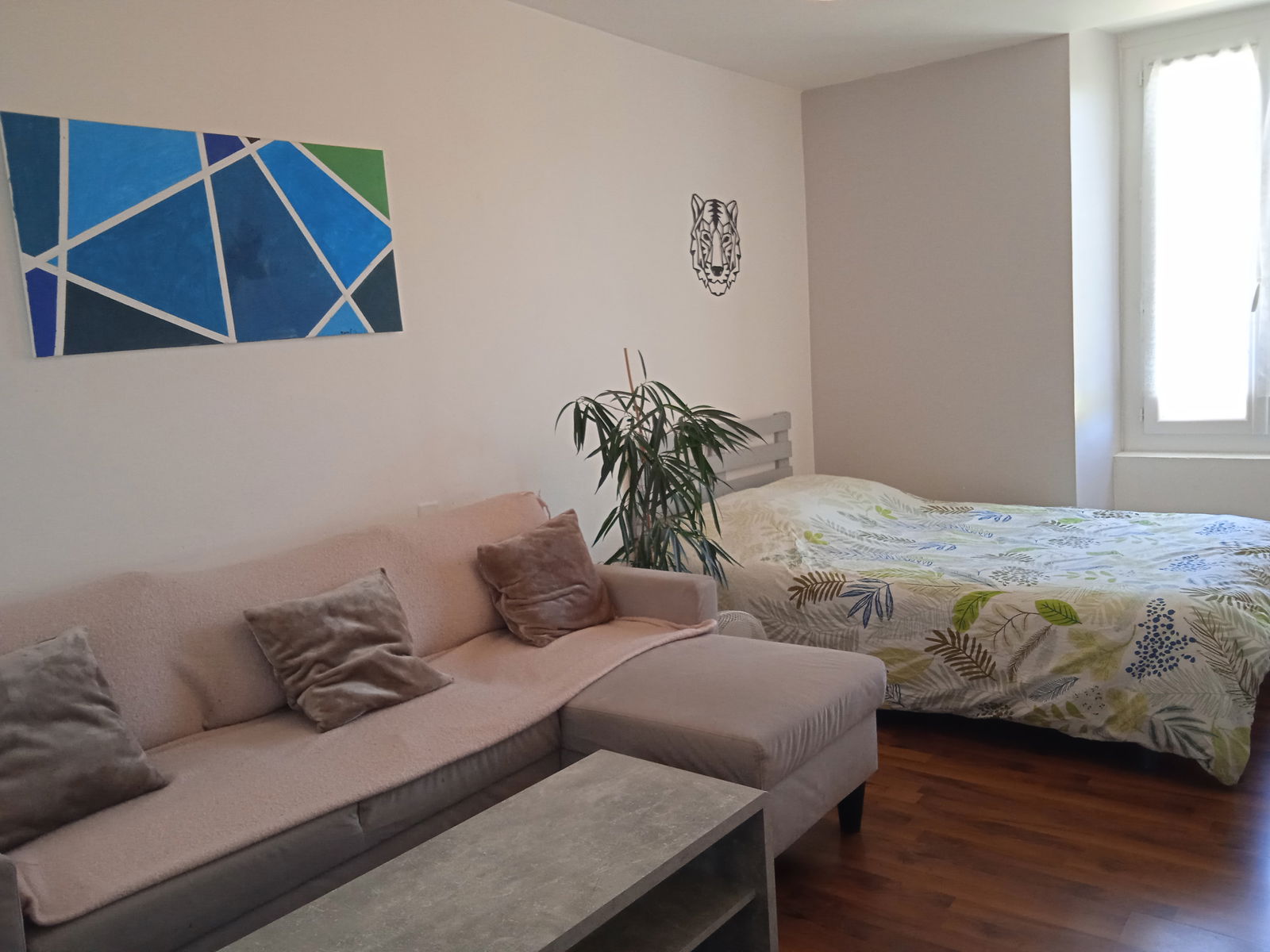 Hele Huis Firmi 250811