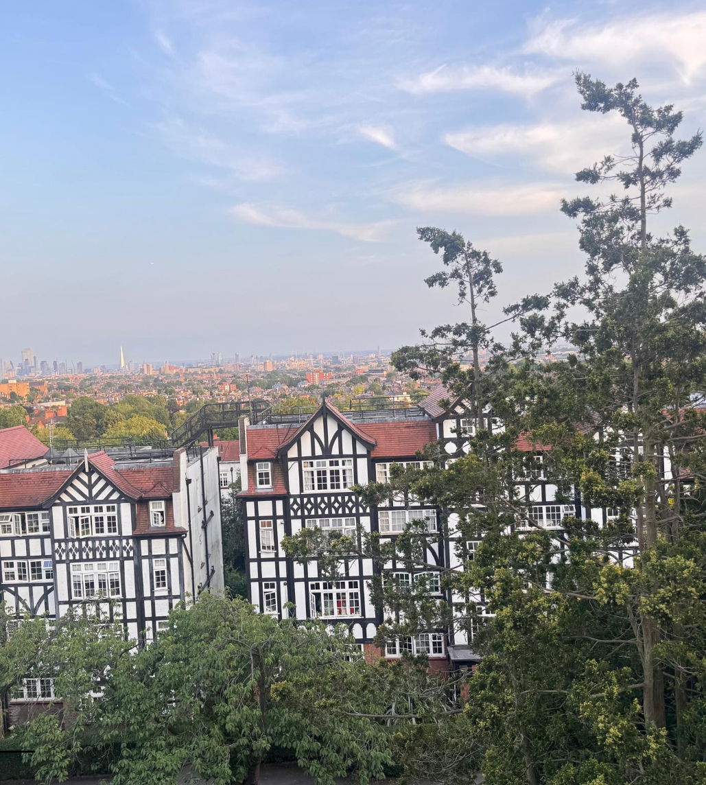 Kolokasie Hampton 549007