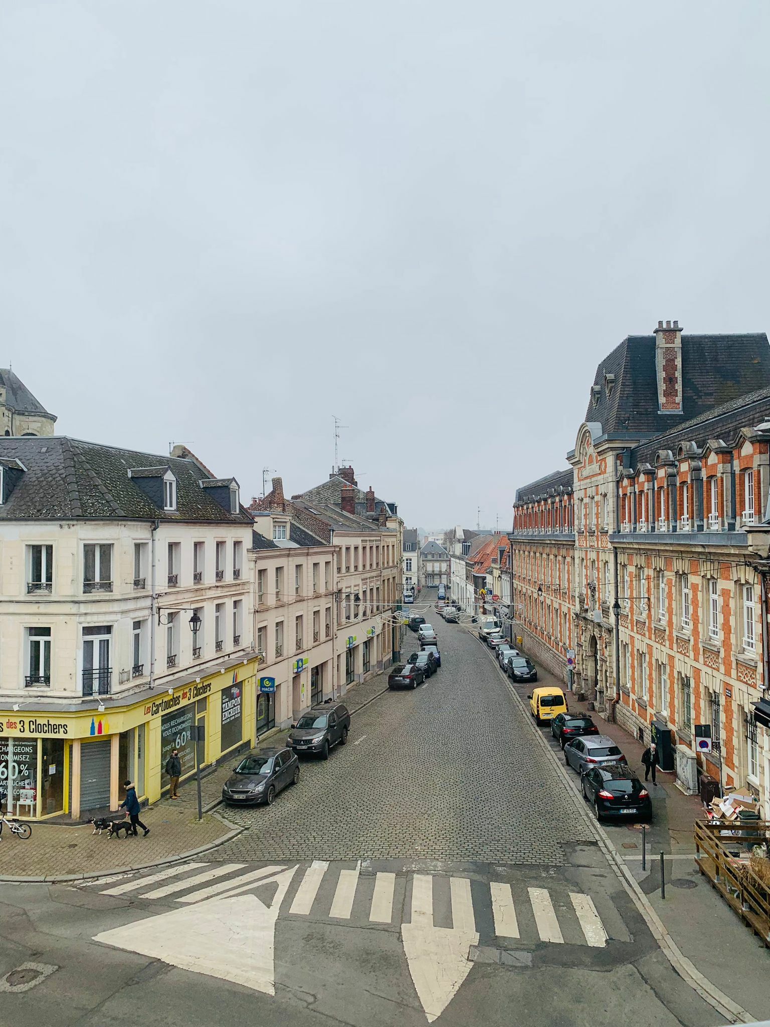 Kolokasie Cambrai 257084