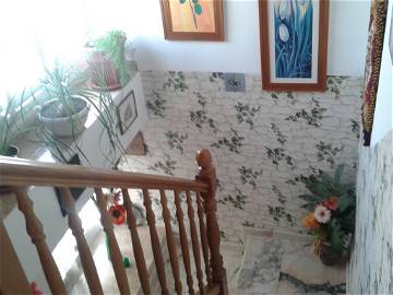 Entire Home Benicarló 167727-10