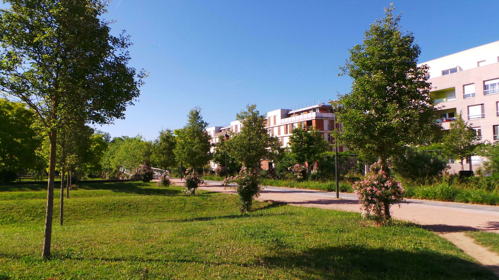 Kolokacja Cergy 225830