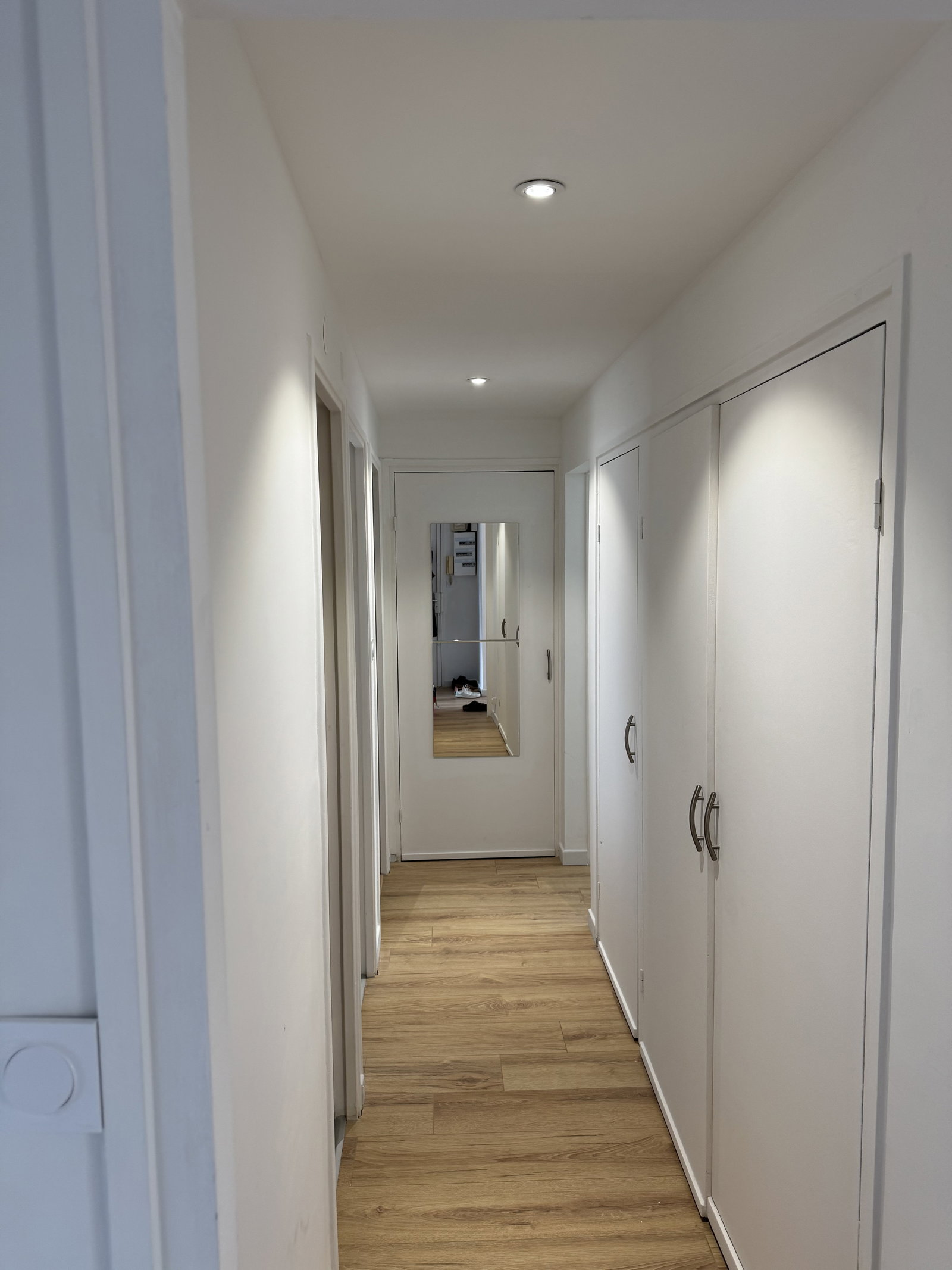 Kolokasie Talence 659770