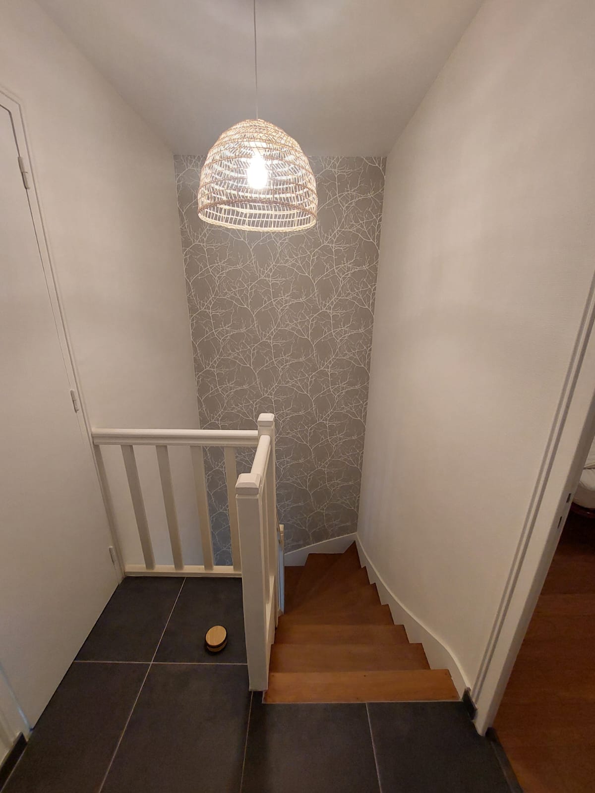 Delat Boende Sainte-Gemmes-sur-Loire 668014