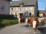 Studio Zu Vermieten Stosswihr 93821