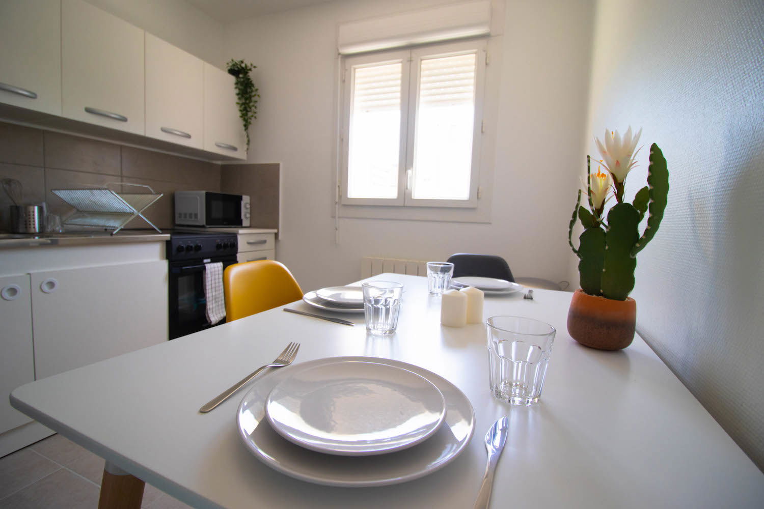 Colocation Grenoble 264777