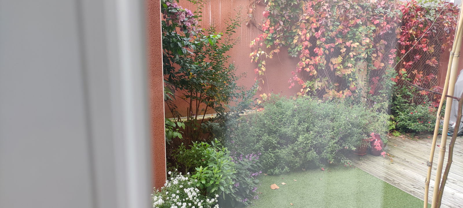 Homestay Le Petit-Quevilly 228294