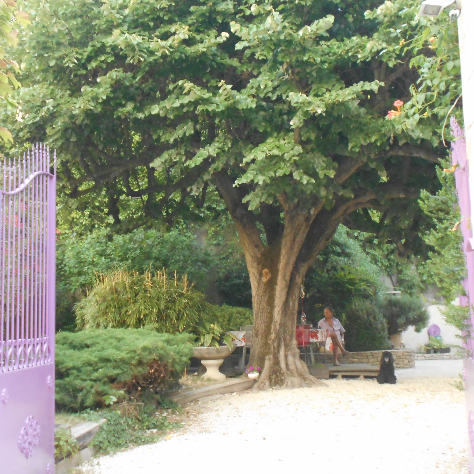 Bed And Breakfast Donzère 105972
