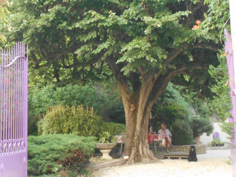 Gastekamers Donzère 105972-3