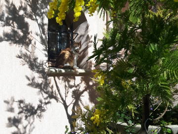 Chambre D'hôte Donzère 105972-6