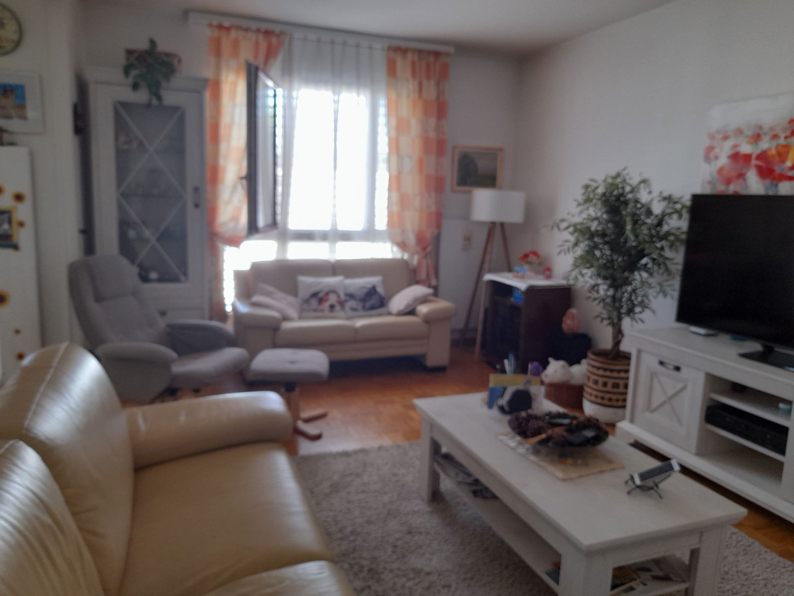 Homestay Le Grand-Saconnex 105885