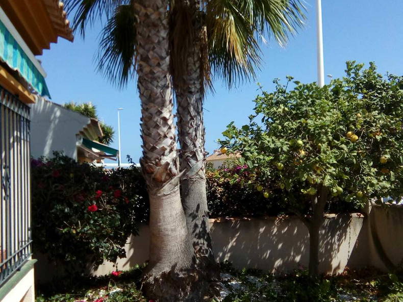 Hele Huis Orihuela 125359-1