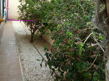 Room For Rent Orihuela 125359