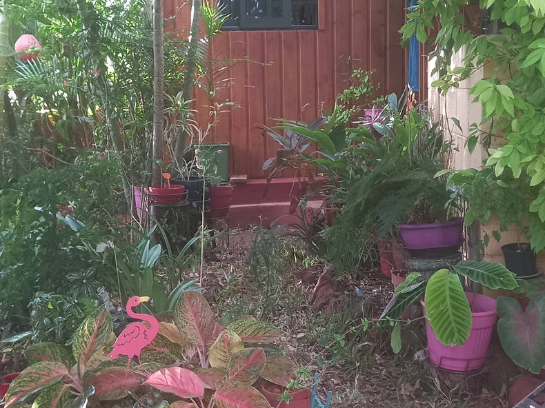 Chambre Chez L'habitant Saint-Paul 390828-5