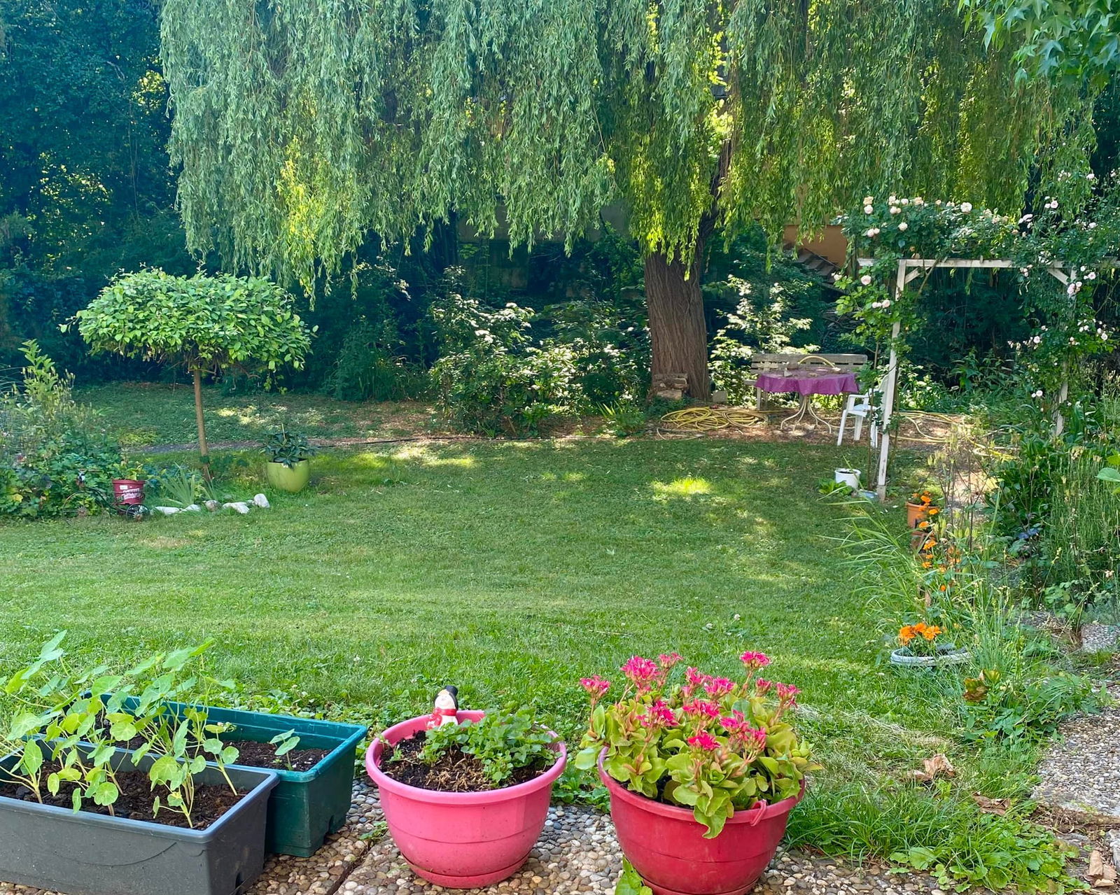 Homestay Sausheim 449089