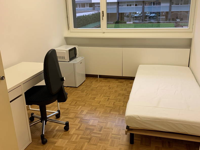 Logement Entier Genève 265434-1