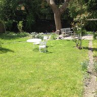 Homestay Sausheim 506010