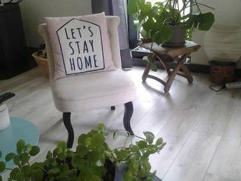 Entire Home Vouneuil-sous-Biard 256451-3