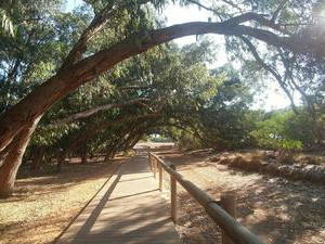 Entire Home San Fulgencio 201478-2