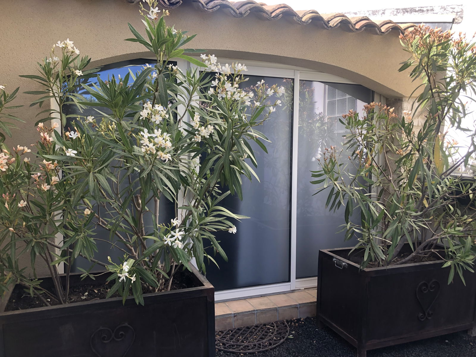 Homestay Pélissanne 190806