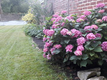 Chambre Chez L'habitant Huy 213357-6