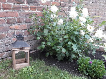 Chambre Chez L'habitant Huy 213357-7