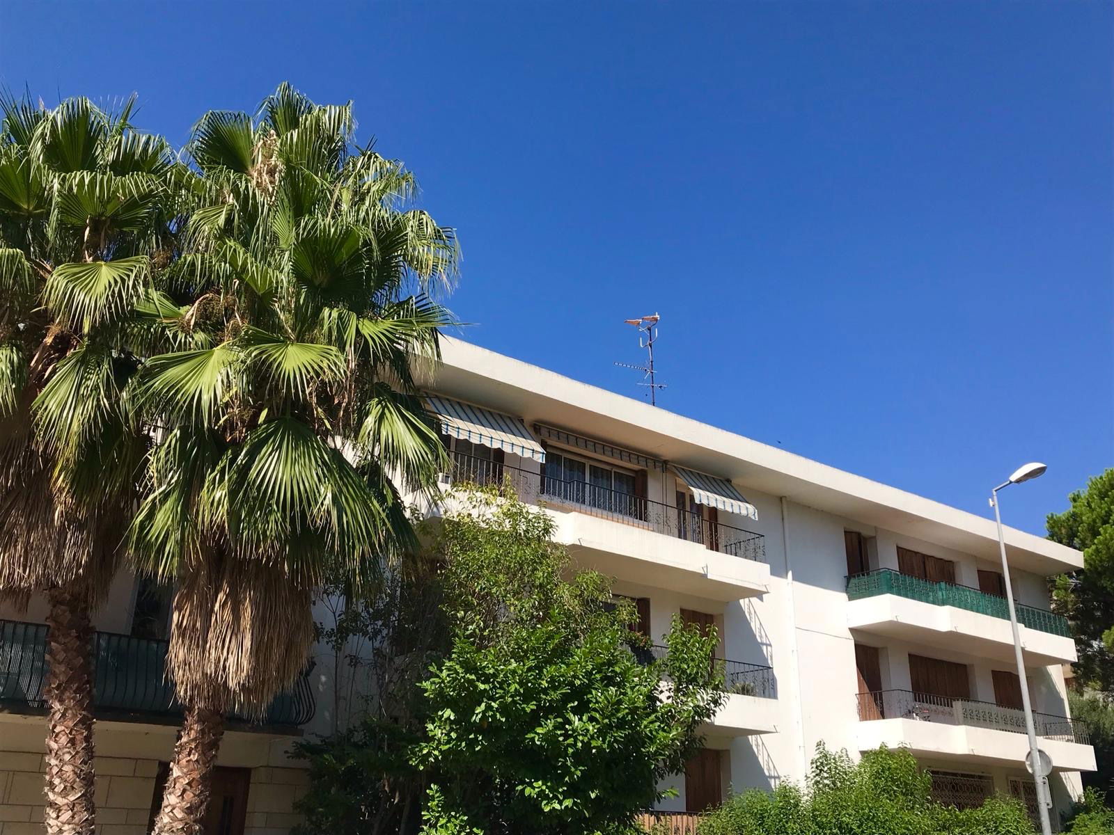 Colocación Perpignan 238599