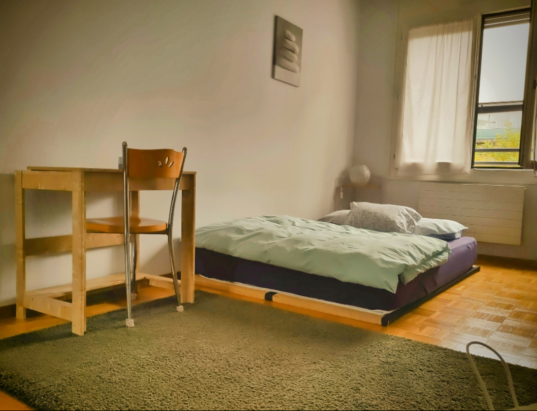 Homestay Plan-les-Ouates 245766