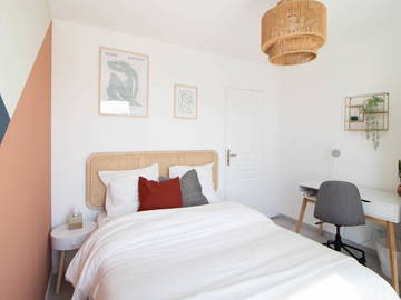 Chambre À Louer Villeurbanne 265599